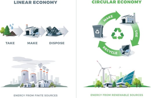 Paper and the Circular Economy